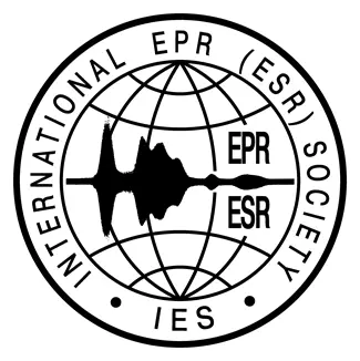 ies-logo.webp